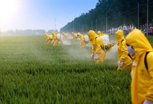 Pestisitler ve Beyin Üzerindeki Etkileri