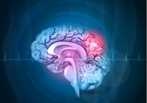 Kemo Beyni Tam Olarak Nedir?