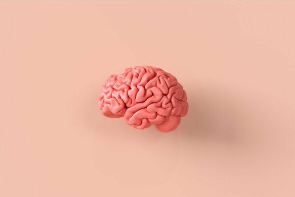 Nöroetik: Beyin ve Ahlaki Davranışlara Büyüleyici Bir Bakış