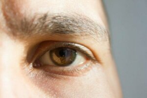 Duyularınız Hakkında Yedi İlginç ve Büyüleyici Gerçek