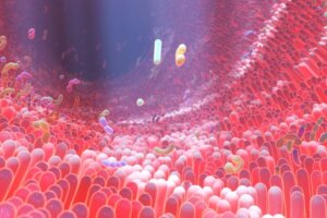 Bilgelik, Yalnızlık ve Bağırsak Mikrobiyotası Bağlantılıdır