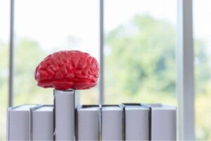 DSM ve Büyüleyici Tarihi