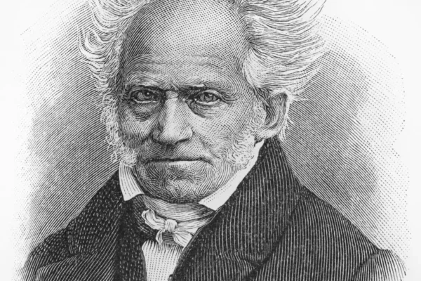 Arthur Schopenhauer, Parlak Bir Filozof