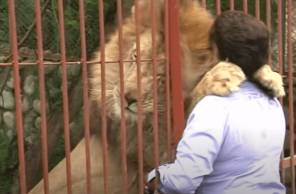 Ana Julia Torres, Hayvanların Kurtarıcısı