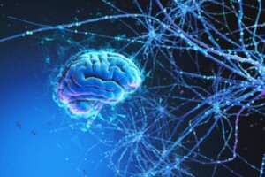 Beyin ve Evren Birçok Ortak Özelliği Paylaşıyor